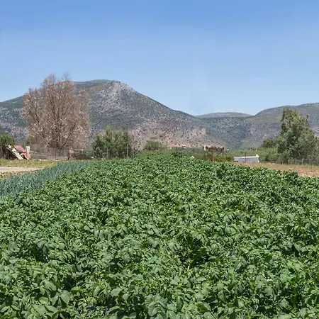 Apartment Ambelakia Monemvasia