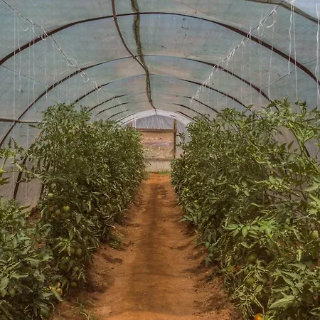 Ambelakia Monemvasia