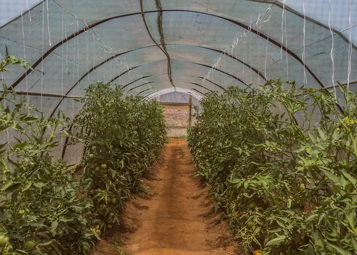 Ambelakia Monemvasia