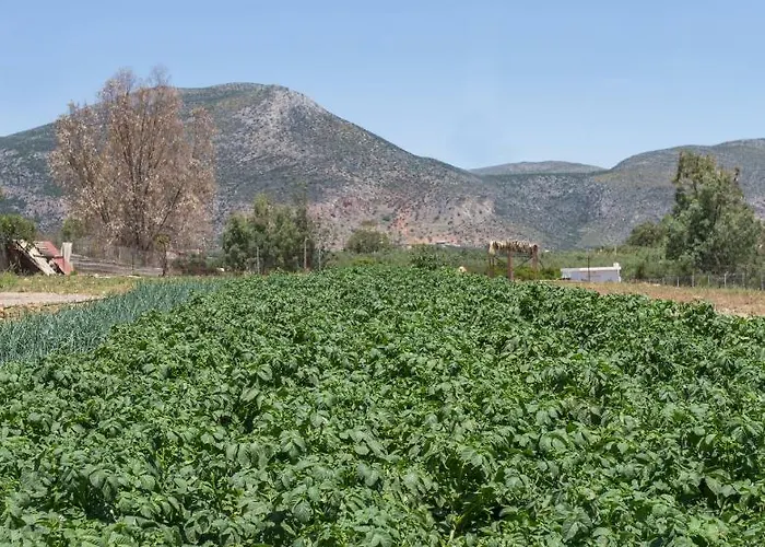 아파트 Ambelakia 모넴바시아